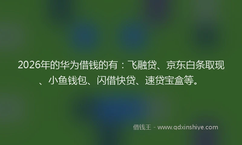 2026年的华为借钱的有:飞融贷、京东白条取现、小鱼钱包、闪借快贷、速贷宝盒等。