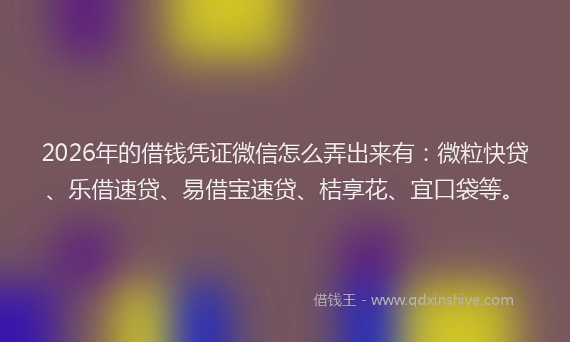 2026年的借钱凭证微信怎么弄出来有:微粒快贷、乐借速贷、易借宝速贷、桔享花、宜口袋等。