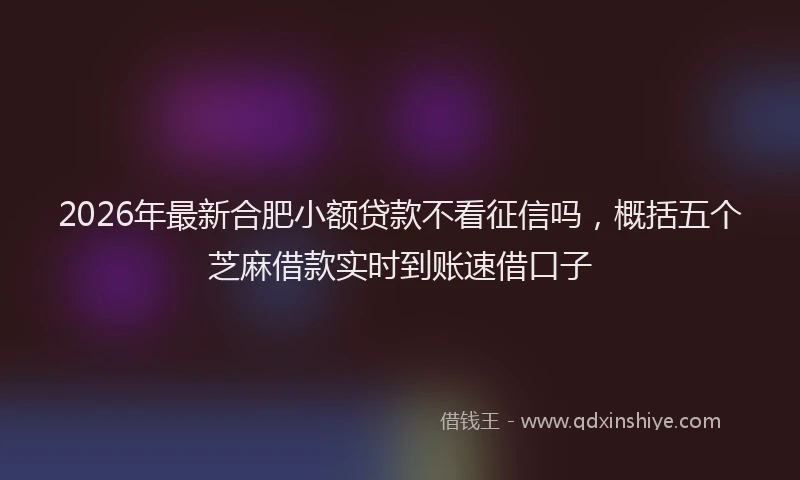 2026年最新合肥小额贷款不看征信吗,概括五个芝麻借款实时到账速借口子