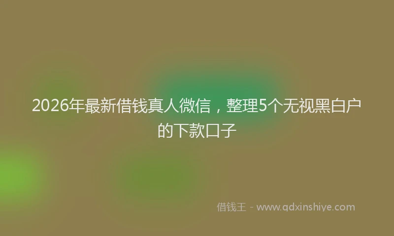 2026年最新借钱真人微信，整理5个无视黑白户的下款口子