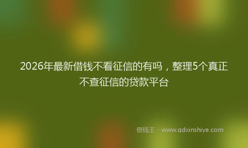 2026年最新借钱不看征信的有吗，整理5个真正不查征信的贷款平台