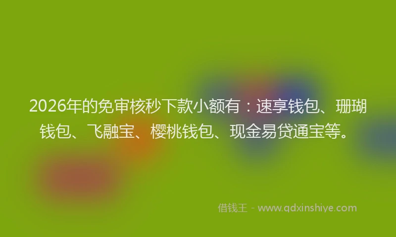 2026年的免审核秒下款小额有：速享钱包、珊瑚钱包、飞融宝、樱桃钱包、现金易贷通宝等。