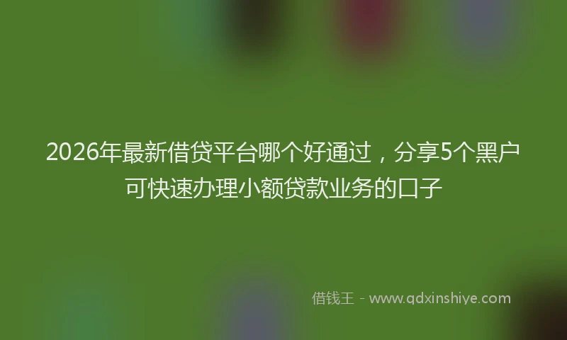 2026年最新借贷平台哪个好通过,分享5个黑户可快速办理小额贷款业务的口子