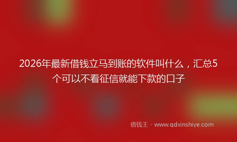 2026年最新借钱立马到账的软件叫什么,汇总5个可以不看征信就能下款的口子