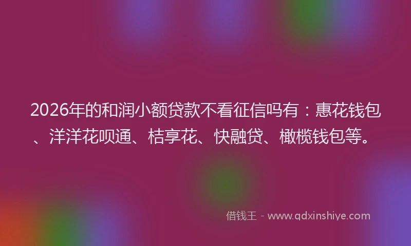 2026年的和润小额贷款不看征信吗有:惠花钱包、洋洋花呗通、桔享花、快融贷、橄榄钱包等。