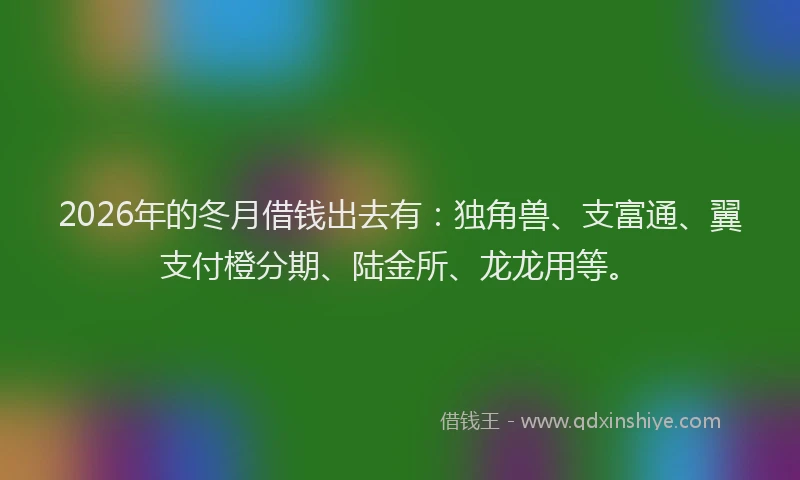 2026年的冬月借钱出去有：独角兽、支富通、翼支付橙分期、陆金所、龙龙用等。