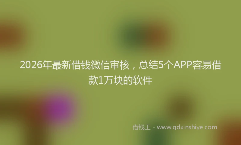 2026年最新借钱微信审核，总结5个APP容易借款1万块的软件