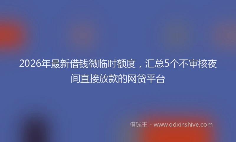 2026年最新借钱微临时额度，汇总5个不审核夜间直接放款的网贷平台