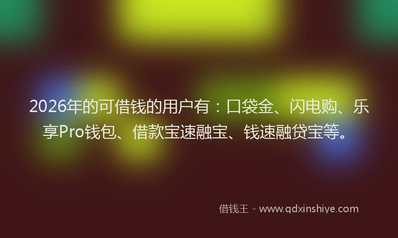 2026年的可借钱的用户有：口袋金、闪电购、乐享Pro钱包、借款宝速融宝、钱速融贷宝等。