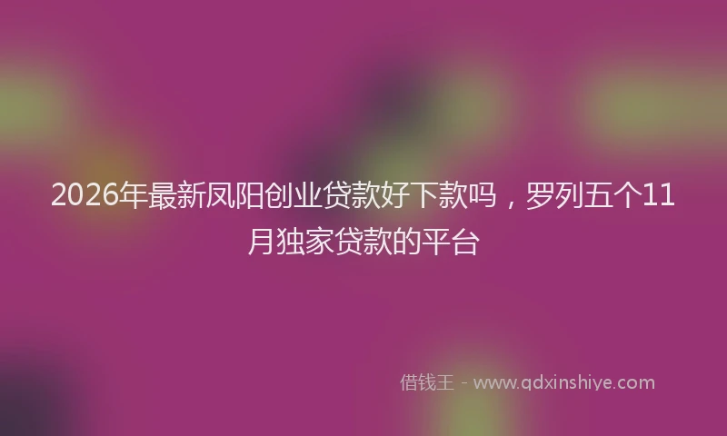 2026年最新凤阳创业贷款好下款吗,罗列五个11月独家贷款的平台