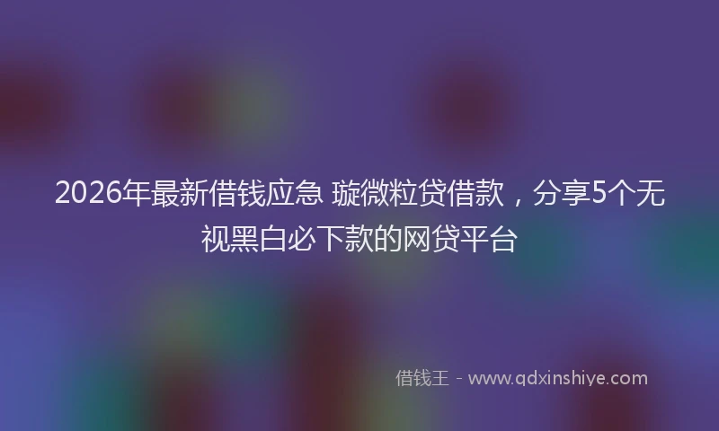 2026年最新借钱应急 璇微粒贷借款，分享5个无视黑白必下款的网贷平台