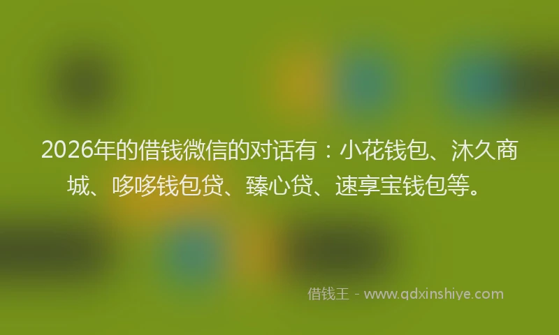2026年的借钱微信的对话有：小花钱包、沐久商城、哆哆钱包贷、臻心贷、速享宝钱包等。