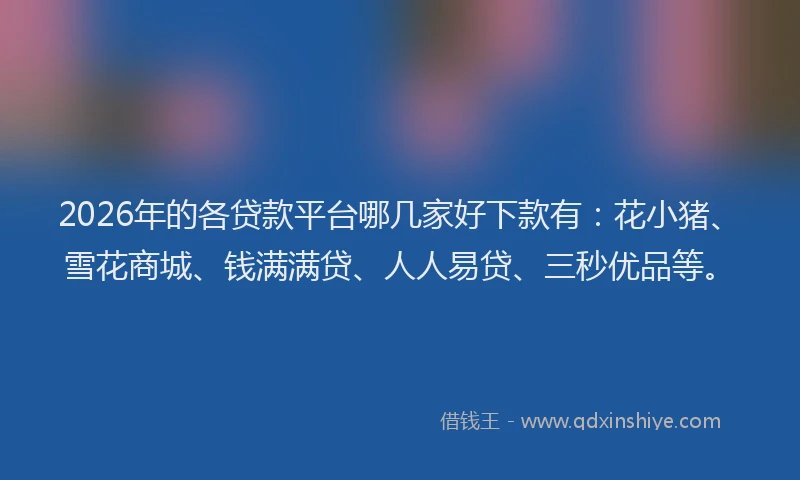2026年的各贷款平台哪几家好下款有:花小猪、雪花商城、钱满满贷、人人易贷、三秒优品等。