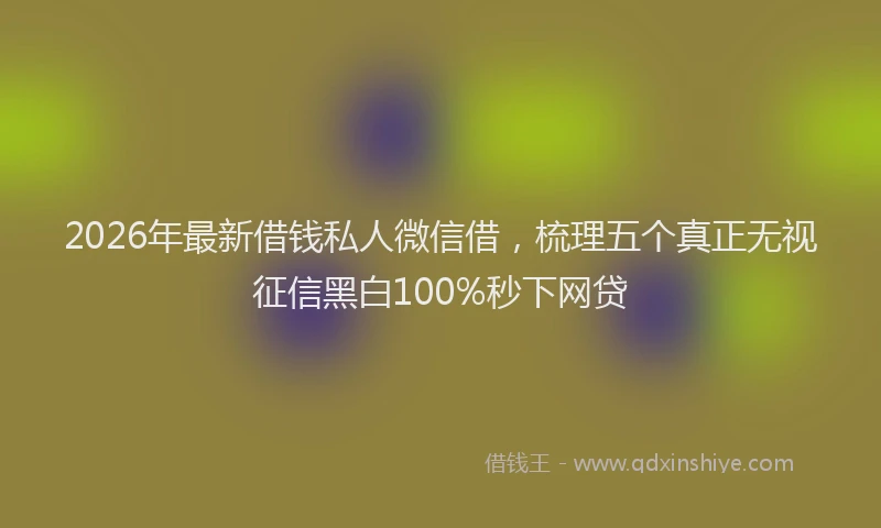2026年最新借钱私人微信借，梳理五个真正无视征信黑白100%秒下网贷