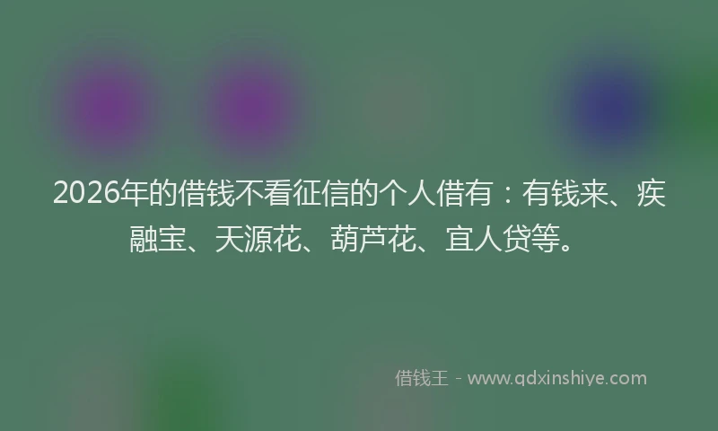 2026年的借钱不看征信的个人借有：有钱来、疾融宝、天源花、葫芦花、宜人贷等。