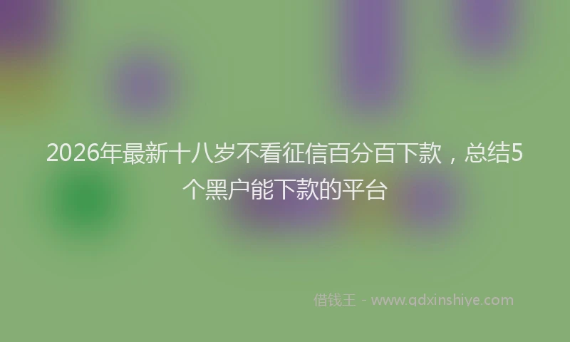 2026年最新十八岁不看征信百分百下款，总结5个黑户能下款的平台