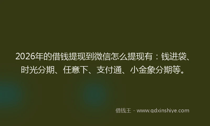 2026年的借钱提现到微信怎么提现有：钱进袋、时光分期、任意下、支付通、小金象分期等。