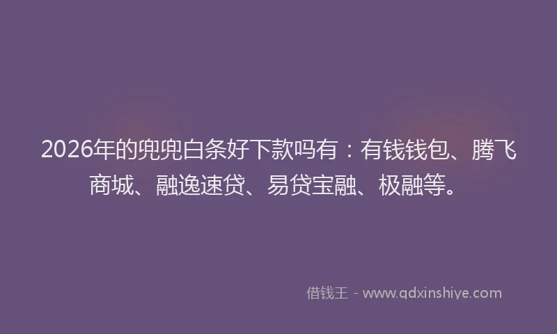 2026年的兜兜白条好下款吗有:有钱钱包、腾飞商城、融逸速贷、易贷宝融、极融等。