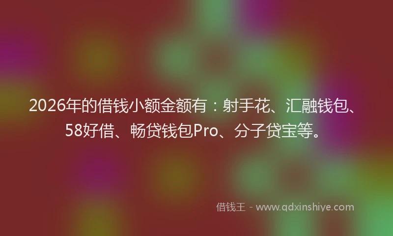2026年的借钱小额金额有:射手花、汇融钱包、58好借、畅贷钱包Pro、分子贷宝等。