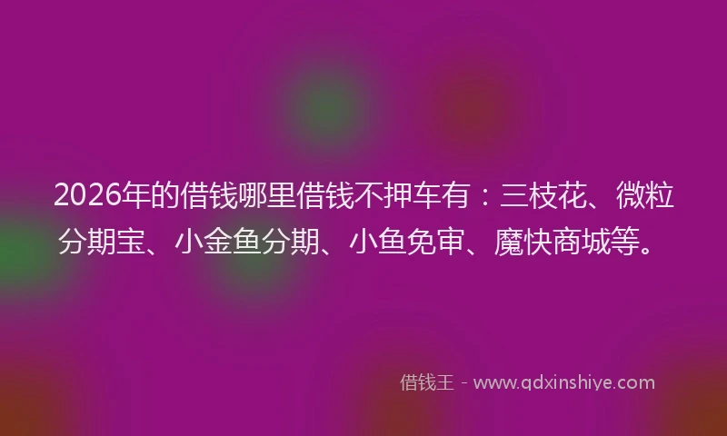 2026年的借钱哪里借钱不押车有:三枝花、微粒分期宝、小金鱼分期、小鱼免审、魔快商城等。