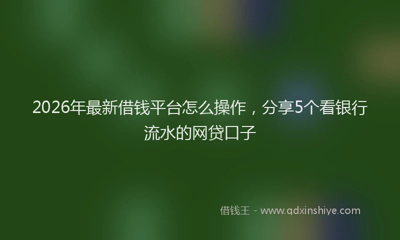 2026年最新借钱平台怎么操作，分享5个看银行流水的网贷口子