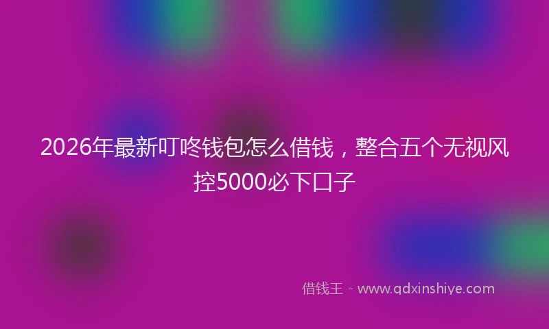 2026年最新叮咚钱包怎么借钱，整合五个无视风控5000必下口子