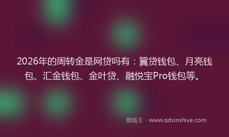 2026年的周转金是网贷吗有:翼贷钱包、月亮钱包、汇金钱包、金叶贷、融悦宝Pro钱包等。