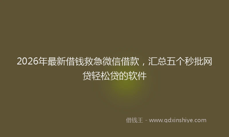 2026年最新借钱救急微信借款，汇总五个秒批网贷轻松贷的软件