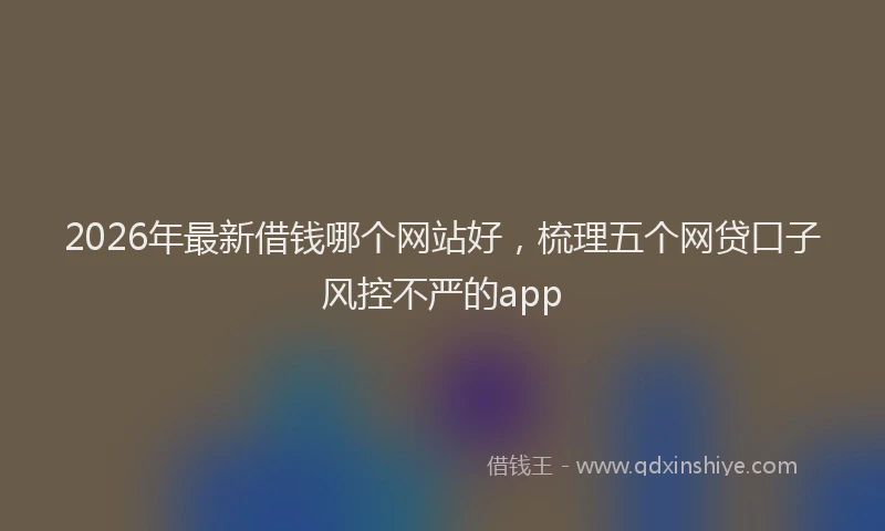 2026年最新借钱哪个网站好,梳理五个网贷口子风控不严的app