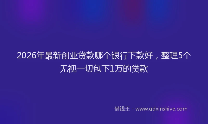2026年最新创业贷款哪个银行下款好，整理5个无视一切包下1万的贷款