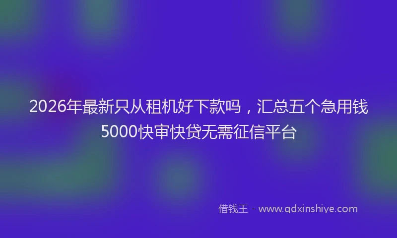 2026年最新只从租机好下款吗，汇总五个急用钱5000快审快贷无需征信平台