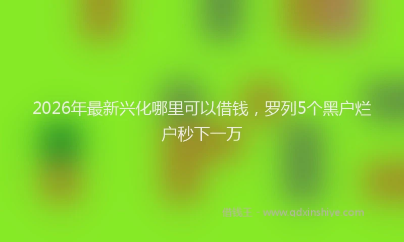 2026年最新兴化哪里可以借钱，罗列5个黑户烂户秒下一万