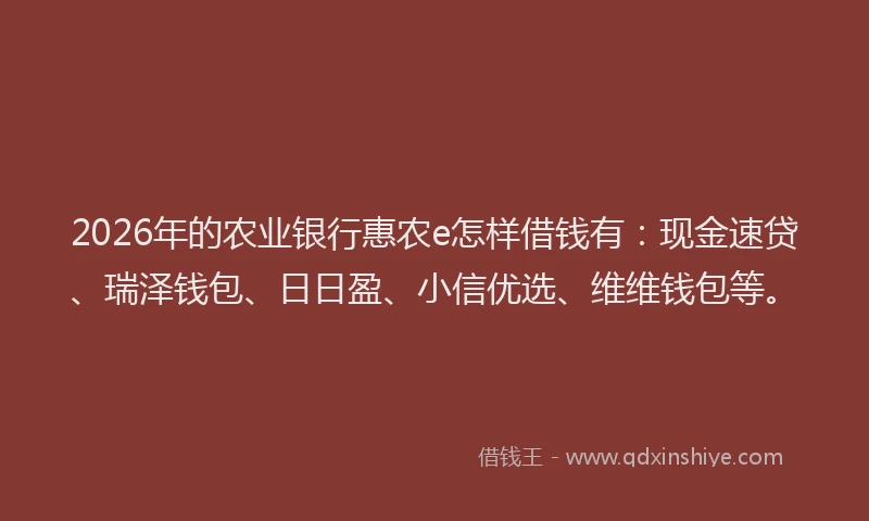 2026年的农业银行惠农e怎样借钱有：现金速贷、瑞泽钱包、日日盈、小信优选、维维钱包等。
