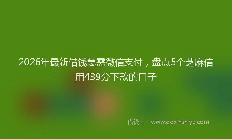 2026年最新借钱急需微信支付，盘点5个芝麻信用439分下款的口子