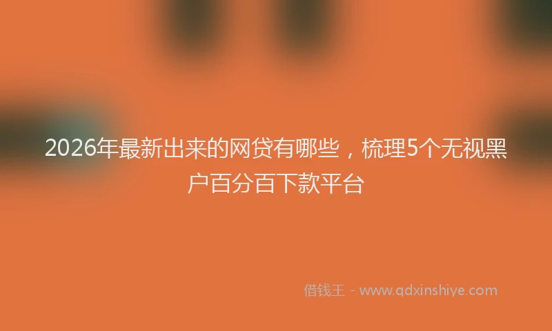 2026年最新出来的网贷有哪些，梳理5个无视黑户百分百下款平台