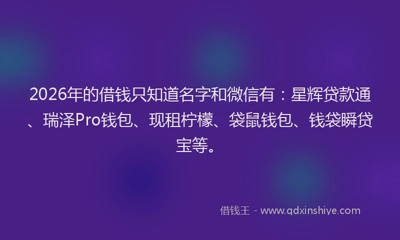 2026年的借钱只知道名字和微信有：星辉贷款通、瑞泽Pro钱包、现租柠檬、袋鼠钱包、钱袋瞬贷宝等。