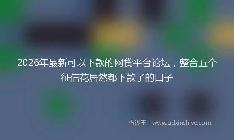 2026年最新可以下款的网贷平台论坛,整合五个征信花居然都下款了的口子