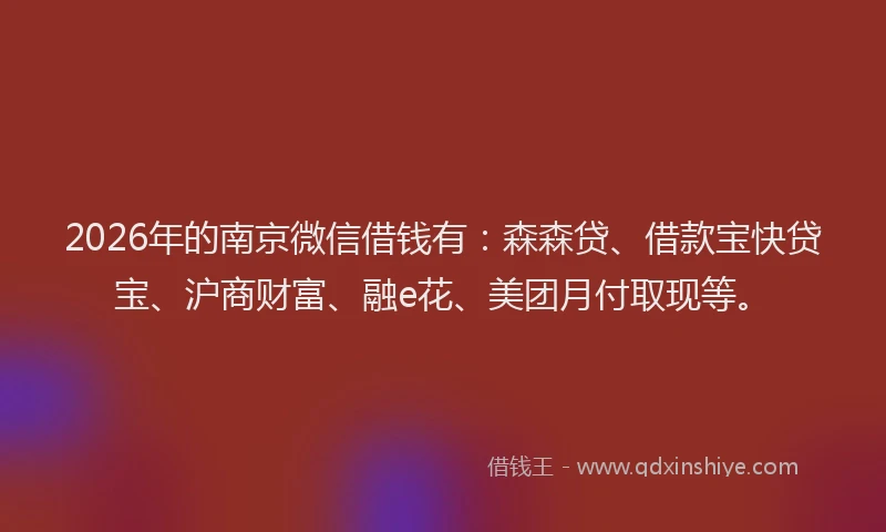 2026年的南京微信借钱有：森森贷、借款宝快贷宝、沪商财富、融e花、美团月付取现等。