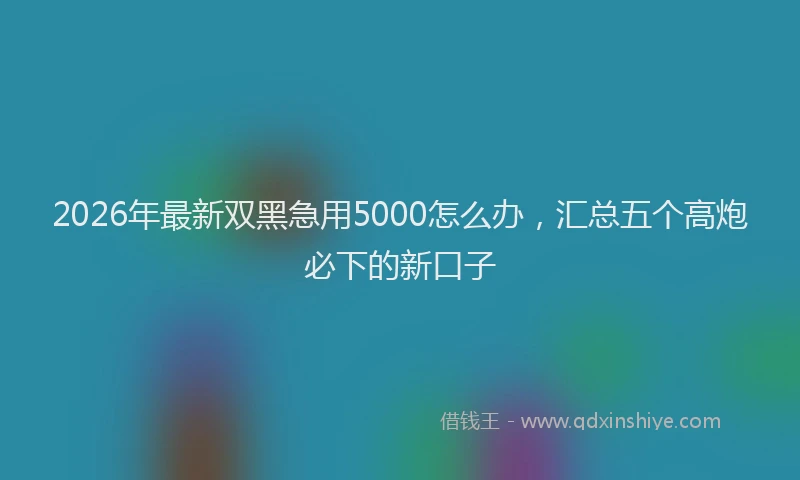 2026年最新双黑急用5000怎么办,汇总五个高炮必下的新口子