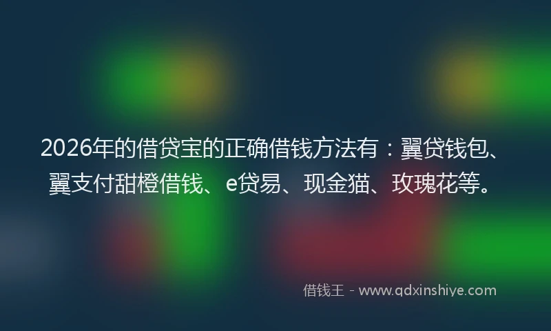 2026年的借贷宝的正确借钱方法有：翼贷钱包、翼支付甜橙借钱、e贷易、现金猫、玫瑰花等。