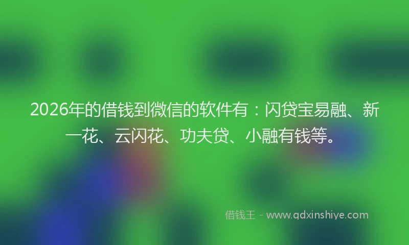 2026年的借钱到微信的软件有:闪贷宝易融、新一花、云闪花、功夫贷、小融有钱等。