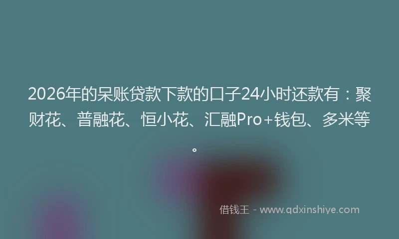 2026年的呆账贷款下款的口子24小时还款有：聚财花、普融花、恒小花、汇融Pro+钱包、多米等。