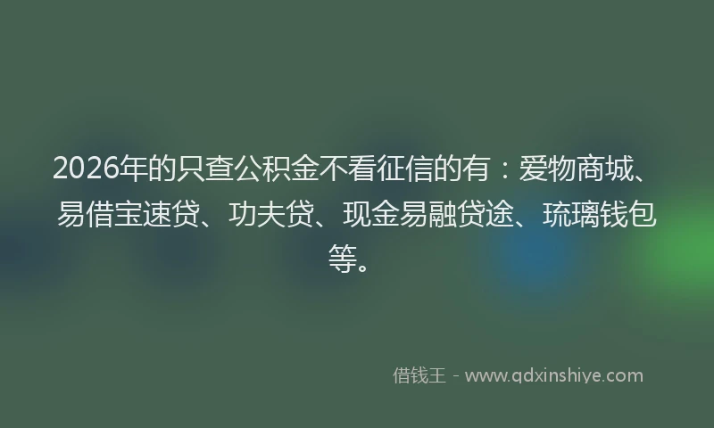 2026年的只查公积金不看征信的有:爱物商城、易借宝速贷、功夫贷、现金易融贷途、琉璃钱包等。