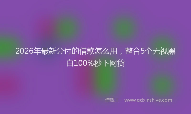 2026年最新分付的借款怎么用，整合5个无视黑白100%秒下网贷