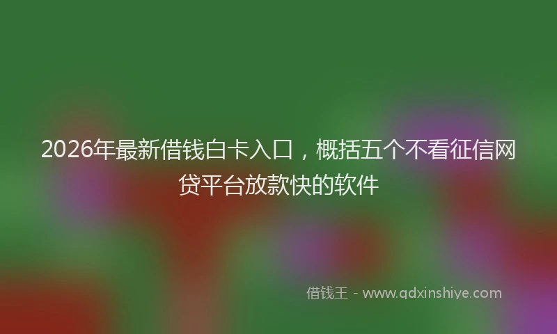 2026年最新借钱白卡入口，概括五个不看征信网贷平台放款快的软件