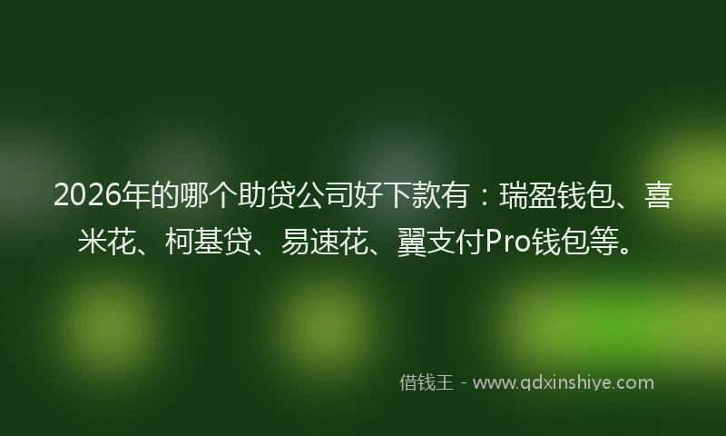 2026年的哪个助贷公司好下款有：瑞盈钱包、喜米花、柯基贷、易速花、翼支付Pro钱包等。