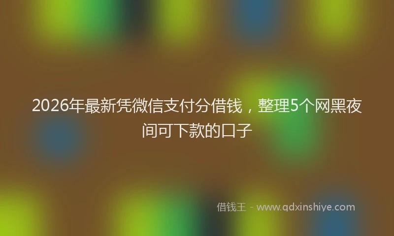 2026年最新凭微信支付分借钱，整理5个网黑夜间可下款的口子