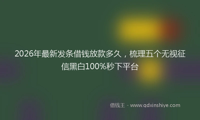 2026年最新发条借钱放款多久,梳理五个无视征信黑白100%秒下平台