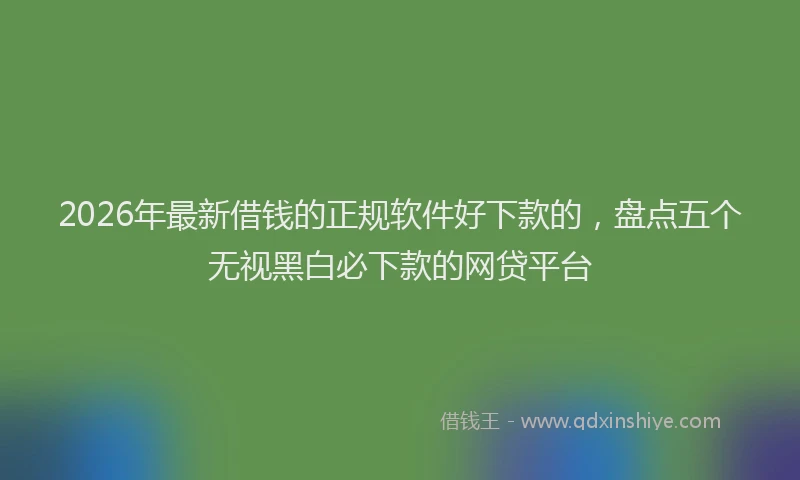 2026年最新借钱的正规软件好下款的，盘点五个无视黑白必下款的网贷平台