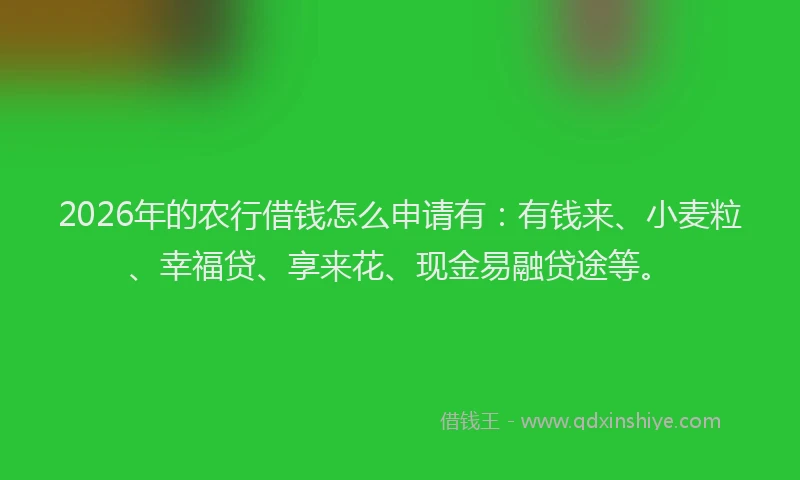 2026年的农行借钱怎么申请有：有钱来、小麦粒、幸福贷、享来花、现金易融贷途等。